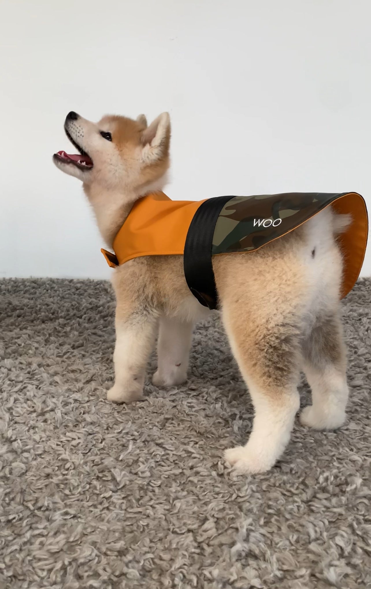 DOG RAINCOAT